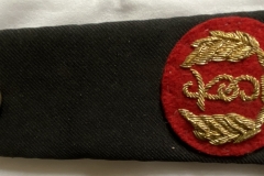 Assistant Commissioner Epaulette