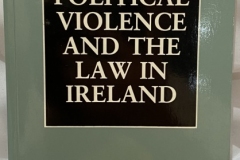 Political Violence and the Law in Ireland