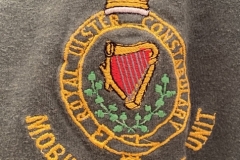 N1 MSU Emblem