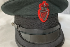 RUC inspector / Chief Inspector